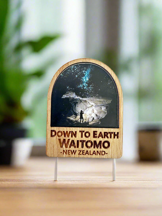 Magnet - Down to Earth